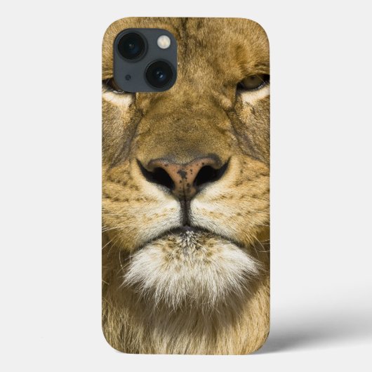 アフリカ人のBarbaryのライオン、ヒョウ属レオレオ、者の Case-Mate iPhoneケース (裏面)