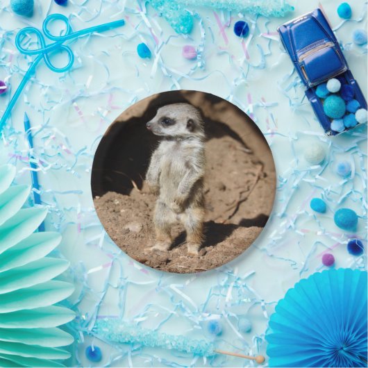 アフリカ人のMeerkatすばらしくかわいく甘い動物 ペーパープレート (パーティー)