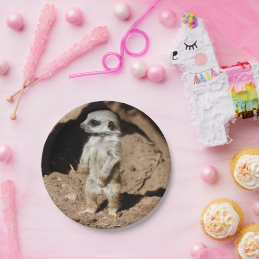 アフリカ人のMeerkatすばらしくかわいく甘い動物 ペーパープレート (パーティー)