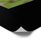 アフリカ冠クレーン ポスター (角)