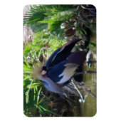 アフリカ冠クレーン マグネット (縦)