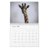 アフリカ動物カレンダー カレンダー (1月 2027)