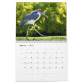 アフリカ動物カレンダー カレンダー (2月 2026)