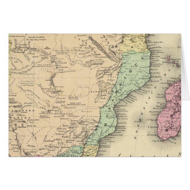 アフリカ南部シート (正面横)