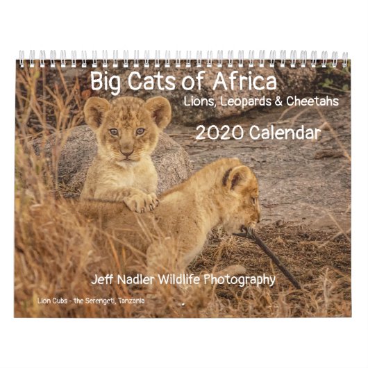 アフリカ大きな猫:ライオン、ヒョウ2020 カレンダー (カバー)