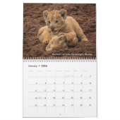 アフリカ大きな猫：ライオン、ヒョウ2020 カレンダー (1月 2026)