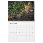 アフリカ大きな猫:ライオン、ヒョウ2020 カレンダー (2月 2027)