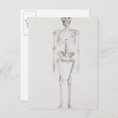 アフリカ大陸の骨格 ポストカード (正面/裏面)