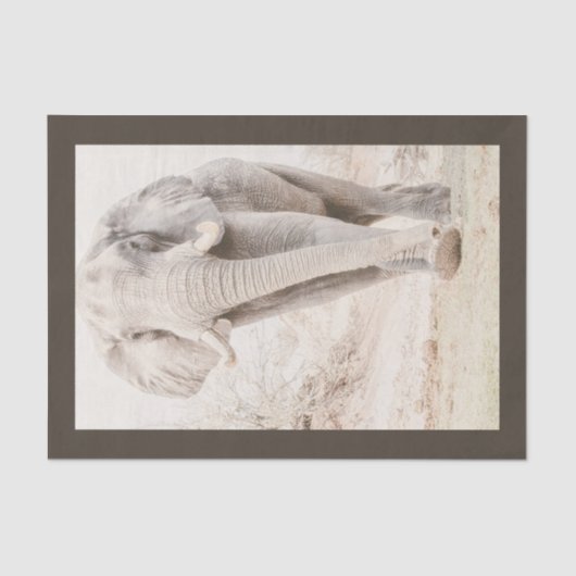 アフリカ威厳のあるゾウの写真 薄葉紙 (正面)