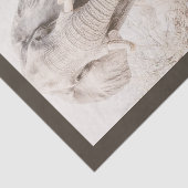アフリカ威厳のあるゾウの写真 薄葉紙 (詳細)