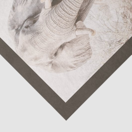 アフリカ威厳のあるゾウの写真 薄葉紙 (詳細)