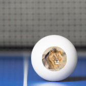 アフリカ威厳のあるライオン野生動物の大きな写真 卓球ボール (ネット)