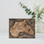 アフリカ恐竜の化石 ポストカード (スタンド正面)