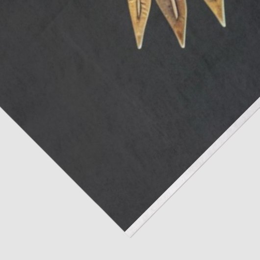 アフリカ数々ののロボットの分離 薄葉紙 (詳細)