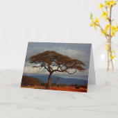 アフリカ景観 カード (黄色い花)