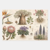 "アフリカ植物図鑑 ラッピングペーパーシート (正面2)