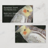 アフリカ灰色のオウムの名刺 名刺 (正面/裏面)