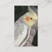 アフリカ灰色のオウムの名刺 名刺 (裏面)