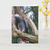 アフリカ灰色のオウムの挨拶状 カード (黄色い花)