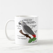 アフリカ灰色のオウムの解剖学 コーヒーマグカップ (左)