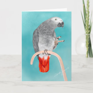 アフリカ灰色のオウム カード