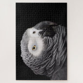 アフリカ灰色のオウム ジグソーパズル (縦)