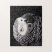 アフリカ灰色のオウム ジグソーパズル (縦)