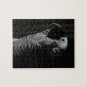 アフリカ灰色のオウム ジグソーパズル (横)