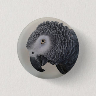 アフリカ灰色のオウムPin/バッジ 缶バッジ