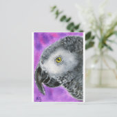 アフリカ灰色 ポストカード (スタンド正面)