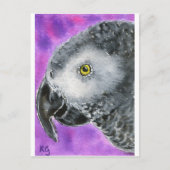 アフリカ灰色 ポストカード (正面)