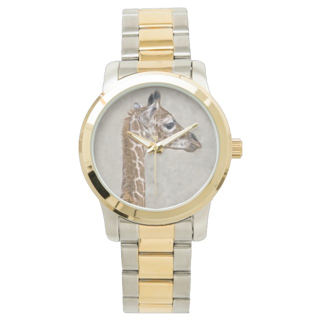 アフリカ王子時計 腕時計 (正面)