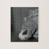 アフリカ産のオウムかわいい鳥 ジグソーパズル (縦)