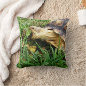 アフリカ産のカメ、サルカ食べタ、草 クッション (ブランケット)