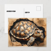 アフリカ産のカメ ポストカード (正面/裏面)