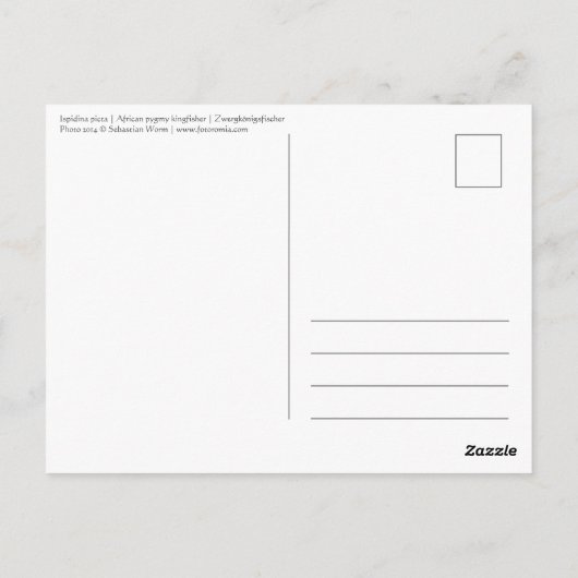 アフリカ産のカワセミ ポストカード (裏面)