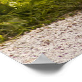 アフリカ産のヤギ ポスター (角)