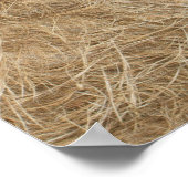 アフリカ産のライオンとライオン ポスター (角)