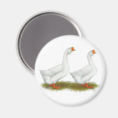 アフリカ産の白ガチョウ マグネット (正面/裏面)