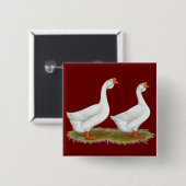 アフリカ産の白ガチョウ 缶バッジ (正面&裏面)