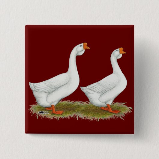 アフリカ産の白ガチョウ 缶バッジ (正面)