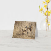 アフリカ産の野犬 カード (黄色い花)