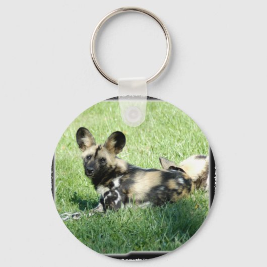 アフリカ産の野犬 キーホルダー (正面)