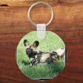 アフリカ産の野犬 キーホルダー (正面)