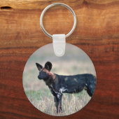 アフリカ産の野犬 キーホルダー (正面)
