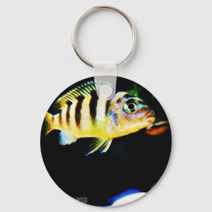 アフリカ産の黒と黄色の魚 キーホルダー