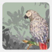 アフリカ産オウム スクエアシール (正面)