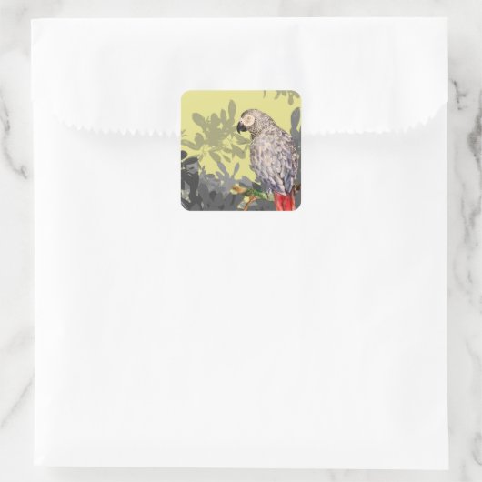 アフリカ産オウム スクエアシール (バッグ)