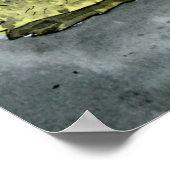 アフリカ産カメのポスター絵画プリント ポスター (角)