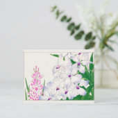 アフリカ産コーンリリー、バンダプレキュレア、タニガミ湖南 ポストカード (スタンド正面)